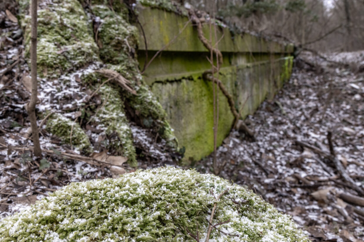 DIE FRIEDHOFSBAHN Die Friedhofsbahn von Wannsee nach Stahnsdorf