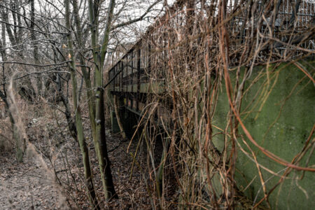 DIE SIEMENSBAHN Entlang des Spreeufers von Jungfernheide Richtung Kraftwerk Reuter.