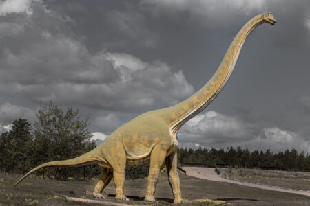 TIER-UND FREIZEITPARK GERMENDORF Der TIer- und Dinopark in Germendorf