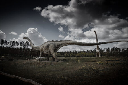 TIER-UND FREIZEITPARK GERMENDORF Der TIer- und Dinopark in Germendorf