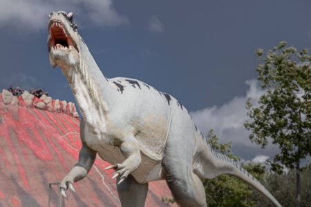 TIER-UND FREIZEITPARK GERMENDORF Der TIer- und Dinopark in Germendorf