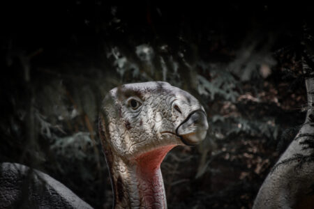 TIER-UND FREIZEITPARK GERMENDORF Der TIer- und Dinopark in Germendorf