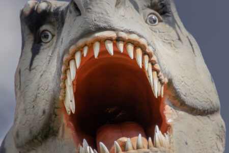 TIER-UND FREIZEITPARK GERMENDORF Der TIer- und Dinopark in Germendorf