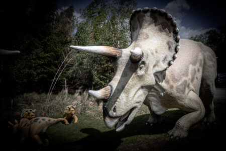 TIER-UND FREIZEITPARK GERMENDORF Der TIer- und Dinopark in Germendorf